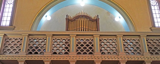 Organ