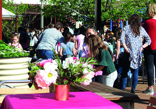 Mercy Day Carnival