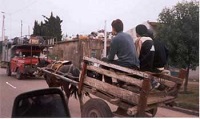 cart