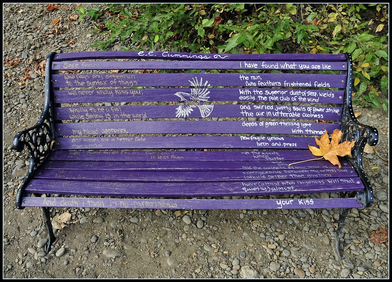 poetry bench
